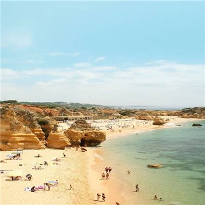 6686体育官网下载截图